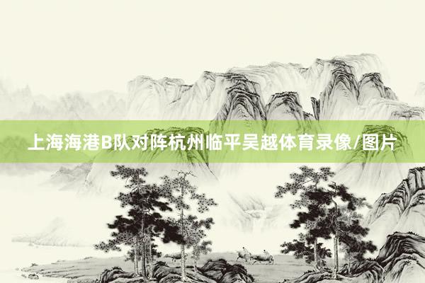 上海海港B队对阵杭州临平吴越体育录像/图片