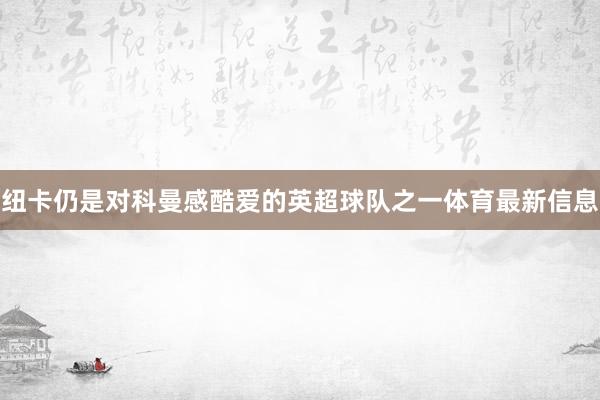 纽卡仍是对科曼感酷爱的英超球队之一体育最新信息